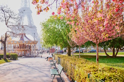 Colorful trees infront of the Eiffel Tower
